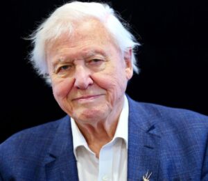 Photo shows Sir David Attenborough standing against a black background