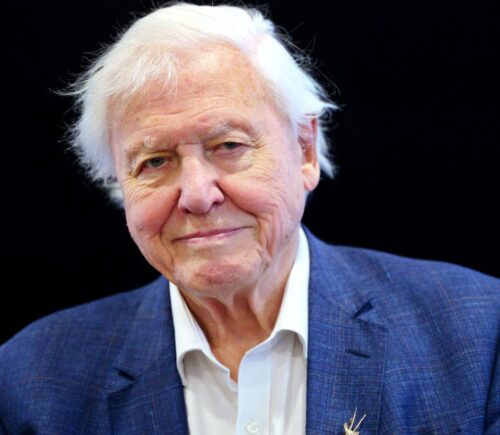 Photo shows Sir David Attenborough standing against a black background