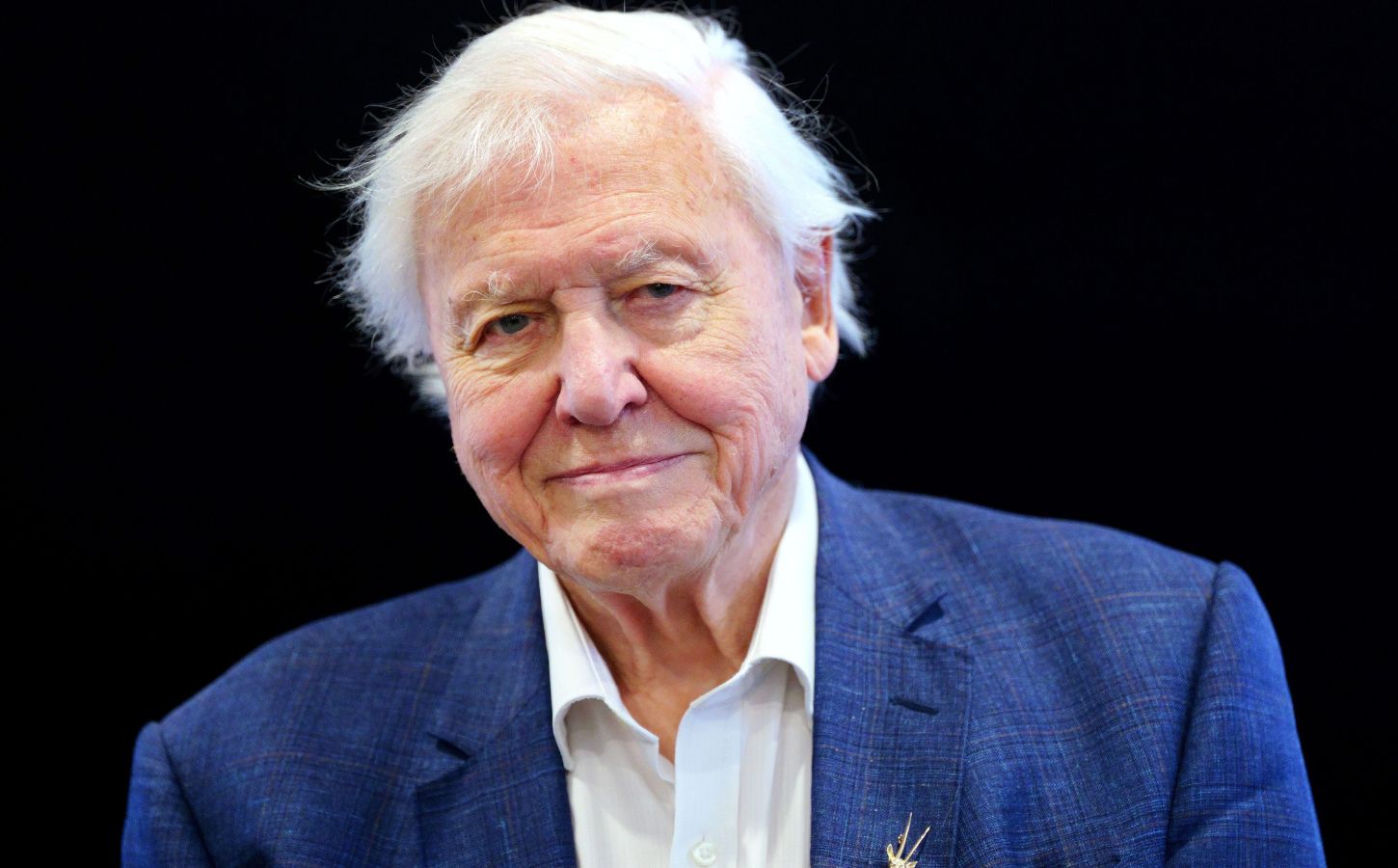 David Attenborough Documentaries David Attenborough Documentaries