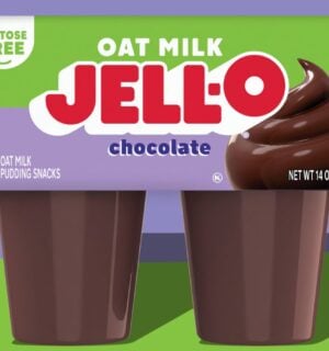 Photo shows a computer-generated image of the new Kraft Heinz / JELL-O Oat Milk Chocolate Pudding, a plant-based dessert