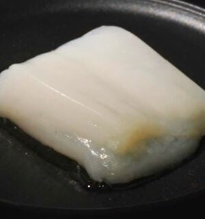 Photo shows the piece of cultivated chicken grown using an artificial circulatory system