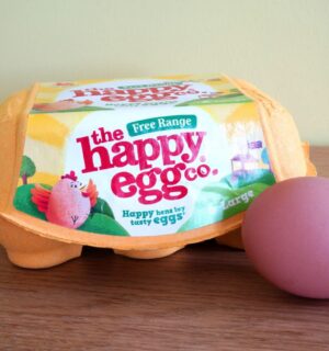A pack of eggs from The Happy Egg Co