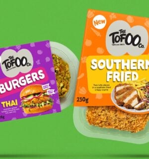 Two new products from The Tofoo Co: Thai Burgers and Southern Fried pieces
