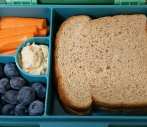 A kid-friendly vegan packed lunch featuring a peanut butter sandwich, carrots, blueberries, and hummus