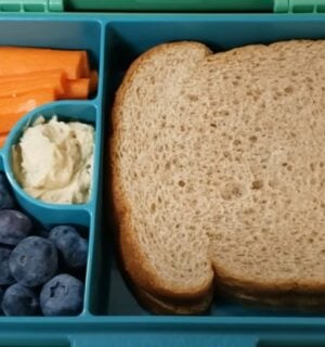A kid-friendly vegan packed lunch featuring a peanut butter sandwich, carrots, blueberries, and hummus