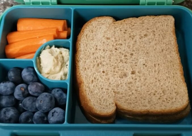 A kid-friendly vegan packed lunch featuring a peanut butter sandwich, carrots, blueberries, and hummus