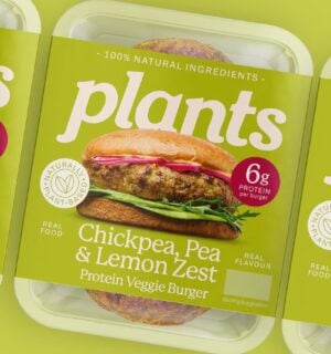 Three packs of Plants chickpea burgers