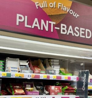 Photo shows the plant-based section of a Tesco store