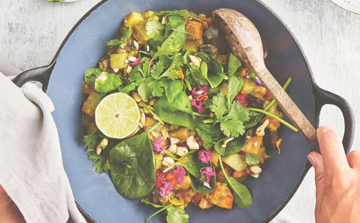 one pot curry in a hurry vegan lentil and aubergine curry