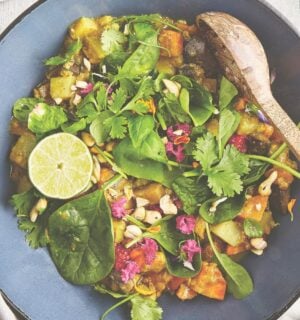 one pot curry in a hurry vegan lentil and aubergine curry