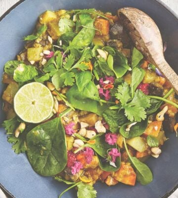 one pot curry in a hurry vegan lentil and aubergine curry