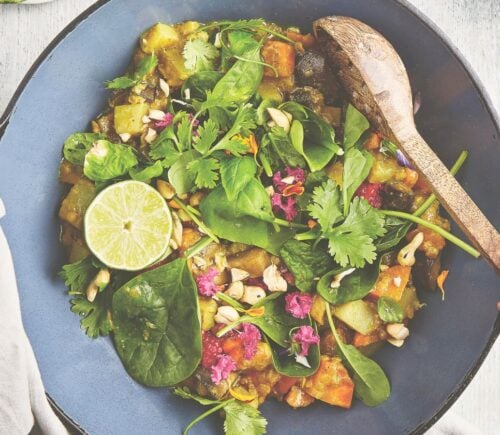 one pot curry in a hurry vegan lentil and aubergine curry