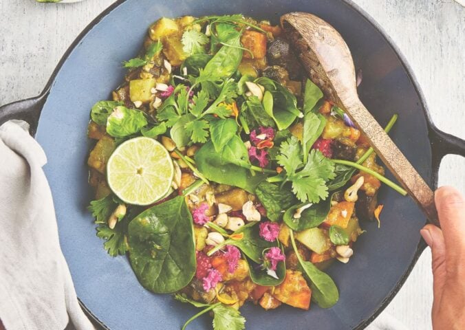 one pot curry in a hurry vegan lentil and aubergine curry