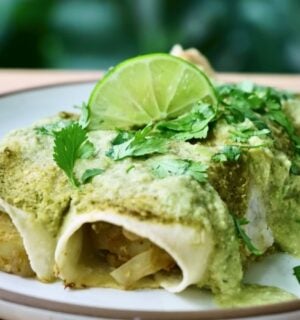 easy vegan enchiladas with potato, cabbage and beans