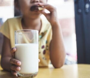 Photo shows a young school-aged child drinking milk and eating a sandwich