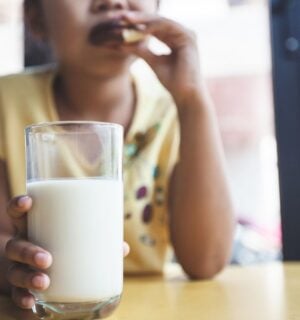 Photo shows a young school-aged child drinking milk and eating a sandwich