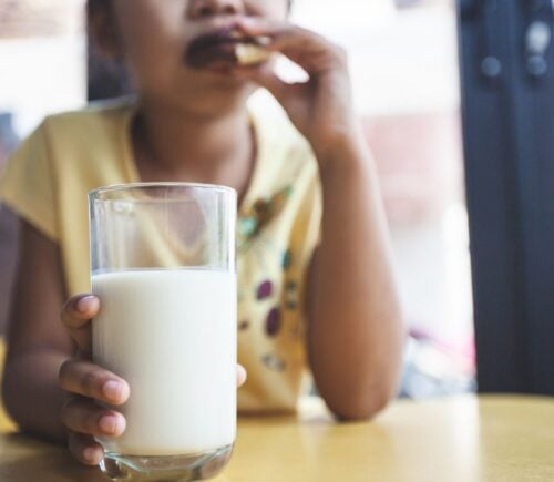 Photo shows a young school-aged child drinking milk and eating a sandwich