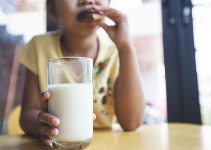 Photo shows a young school-aged child drinking milk and eating a sandwich