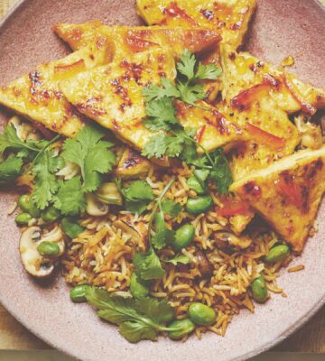 Vegan sticky marmalade tofu cut into thin triangles