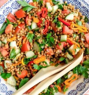 A lentil salad featuring peppers, tomatoes, cucumber, and parsley in a white and blue patterned bowl