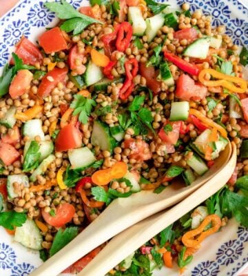 A lentil salad featuring peppers, tomatoes, cucumber, and parsley in a white and blue patterned bowl