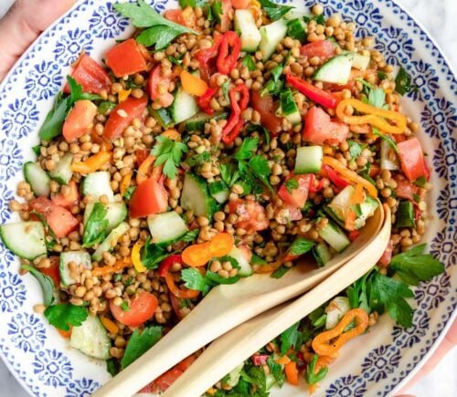 A lentil salad featuring peppers, tomatoes, cucumber, and parsley in a white and blue patterned bowl