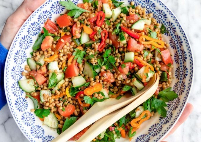 A lentil salad featuring peppers, tomatoes, cucumber, and parsley in a white and blue patterned bowl
