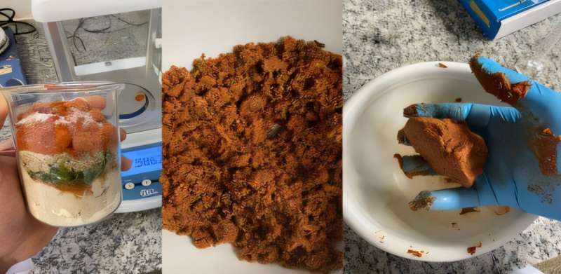 Image is a triptych featuring three photos of the researchers blending ingredients and forming them into a sunflower meal-based patty