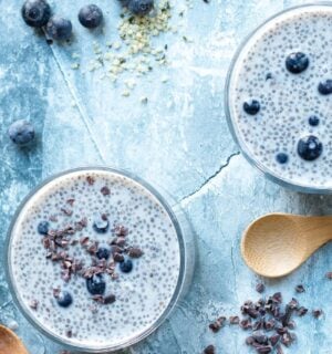 blueberries and cream chia pudding for vegan chia pudding recipes