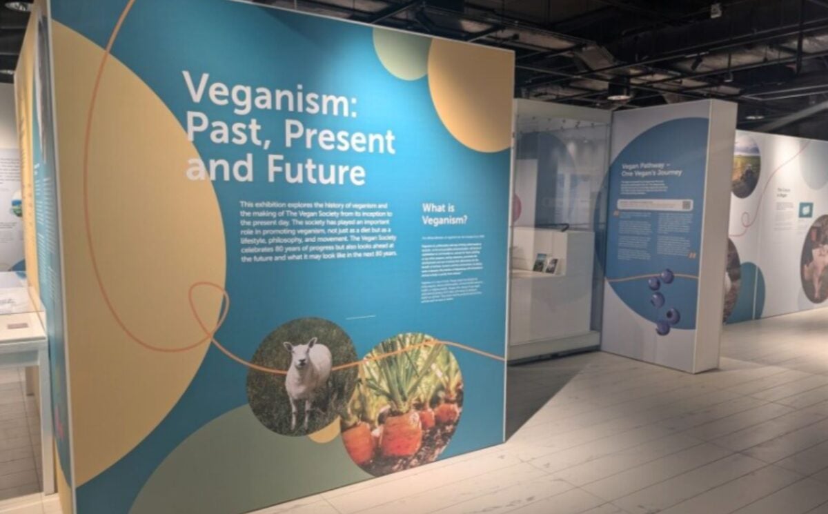 A Vegan Society vegan exhibition in Birmingham
