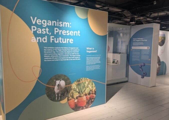 A Vegan Society vegan exhibition in Birmingham