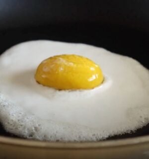 A vegan fried egg made to a plant-based recipe