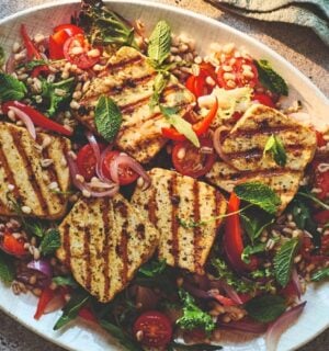 halloumi vegan warm salad recipes