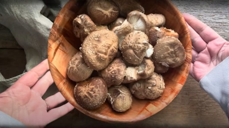 Chrystal Schmidt holds a wooden bowl containing shiitake mushrooms harvested from her backyard mushroom logs