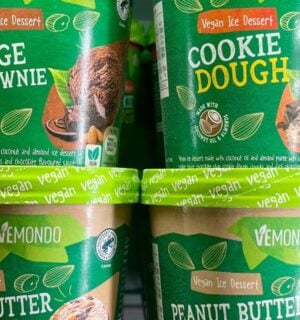 Shannon Stones spotted the vegan ice cream in her local Lidl store