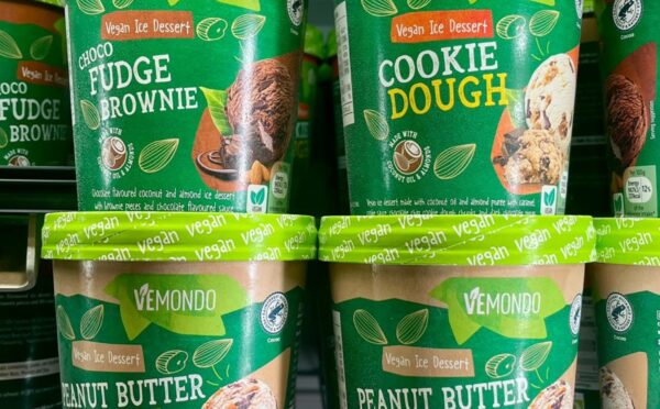 Shannon Stones spotted the vegan ice cream in her local Lidl store