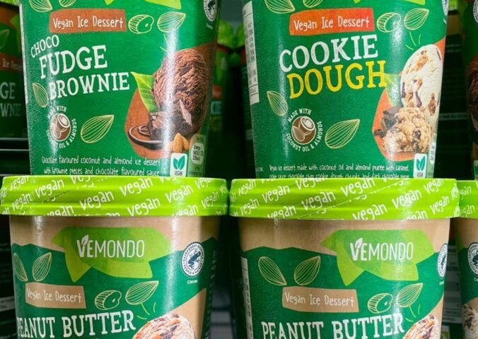 Shannon Stones spotted the vegan ice cream in her local Lidl store