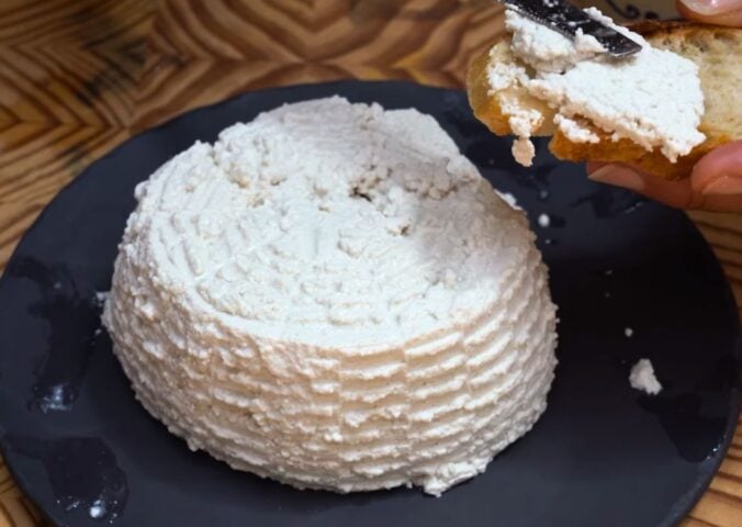 Miyoko's new vegan ricotta recipe with watermelon seeds finished and tasty