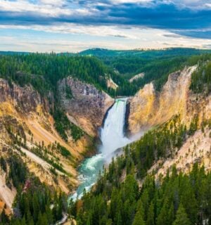 Photo shows Yellowstone National Park