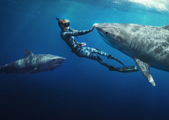 Ocean Ramsey swimming with two sharks in the ocean, with her hand on one of the animals' noses