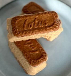 a plate of small biscoff ice cream sandwiches stacked on one another