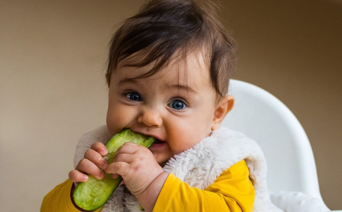 Photo shows a baby eating a slice of cucumber or pickle