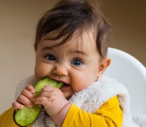 Photo shows a baby eating a slice of cucumber or pickle