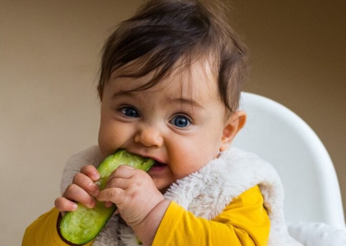 Photo shows a baby eating a slice of cucumber or pickle