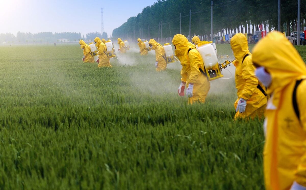 Photo shows a line of people in bright yellow protective gear spraying crops with pesticides