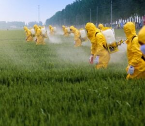Photo shows a line of people in bright yellow protective gear spraying crops with pesticides