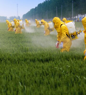 Photo shows a line of people in bright yellow protective gear spraying crops with pesticides