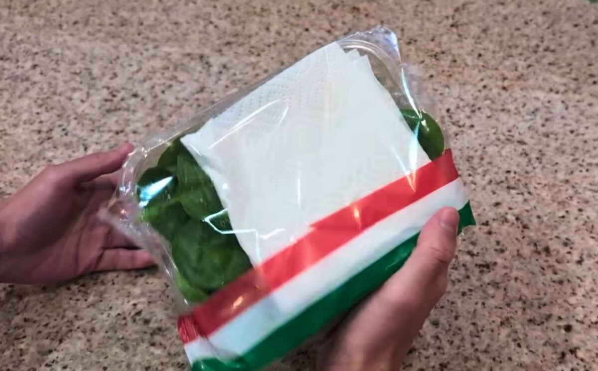 storing leafy greens with a paper towel to absorb moisture as one of the vegan food hacks
