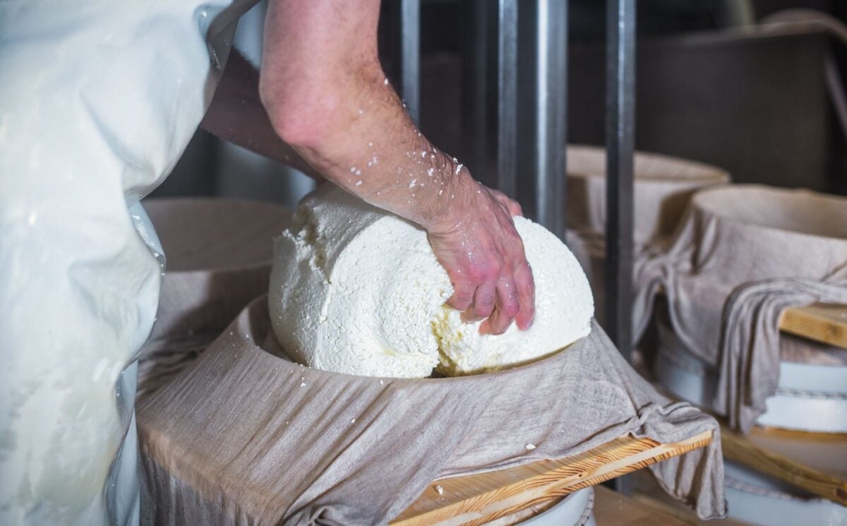 A cheesemaker making cheese with their bare hands on a cloth