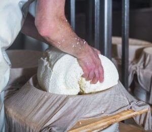 A cheesemaker making cheese with their bare hands on a cloth
